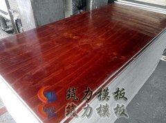 建筑模板小樣 建筑模板樣品