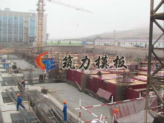 沭陽建筑模板廠家