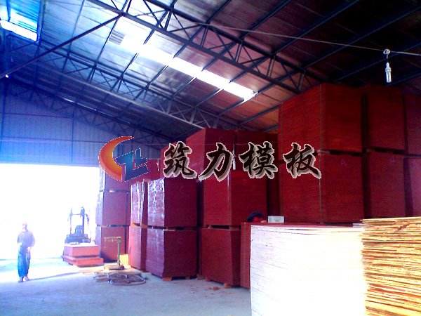 沭陽根本木業是專業生產清水建筑模板,酚醛膠建筑模板廠家